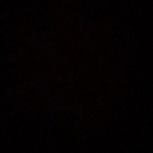 Meet your Posher, Alisha